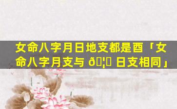 女命八字月日地支都是酉「女命八字月支与 🦈 日支相同」